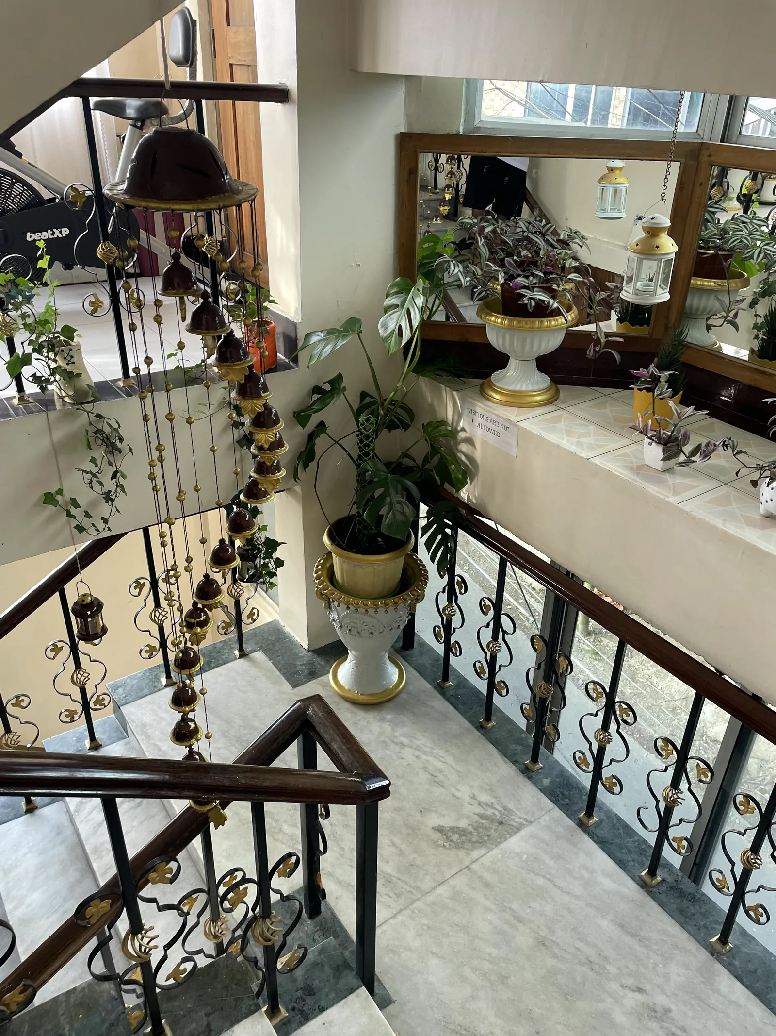 Plant-filled staircase inside Hotel Tranquility